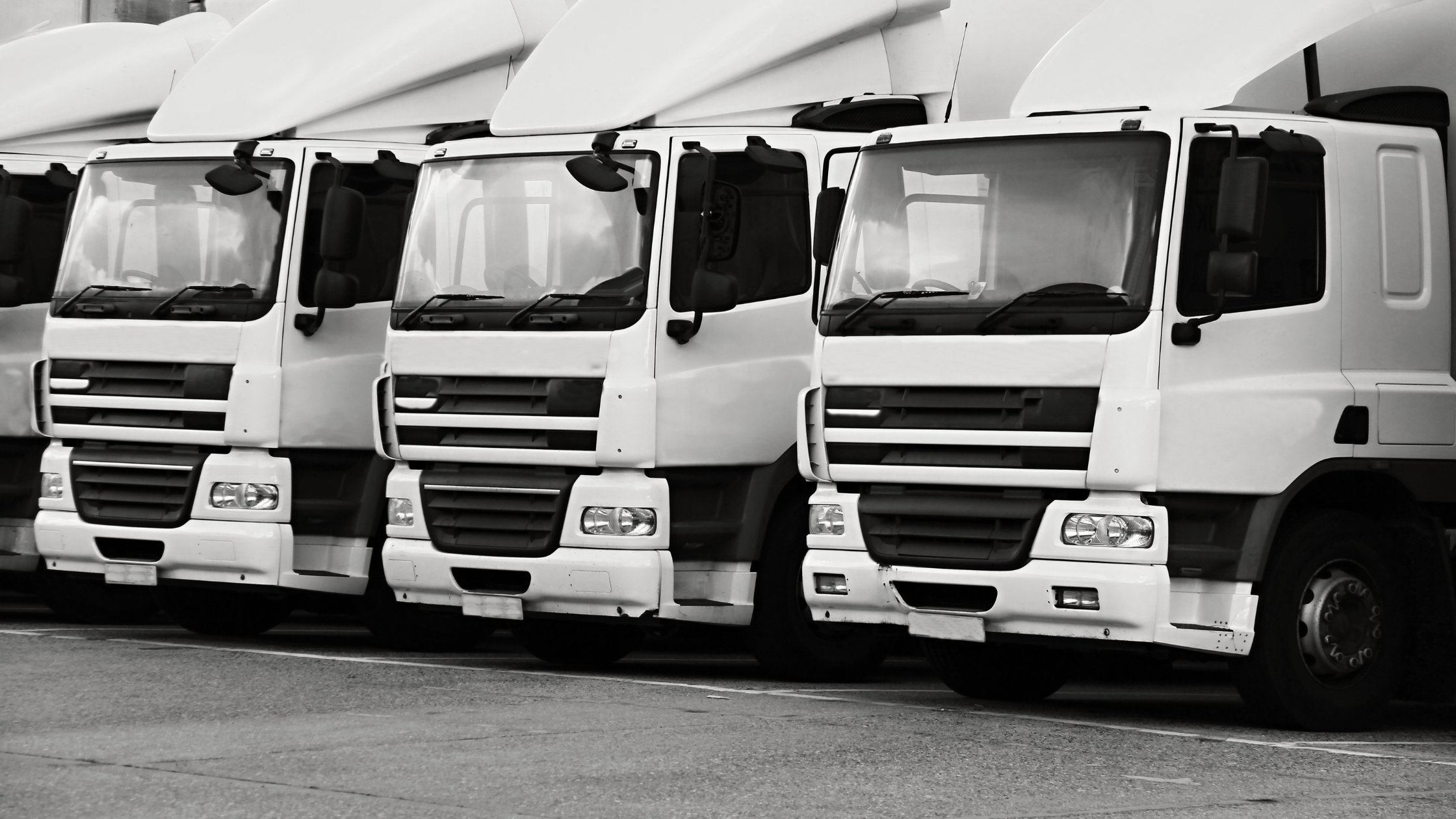 Three white lorries lined up in a row in a HGV parking area.